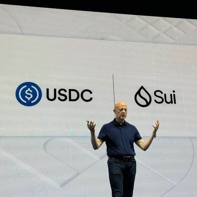 Sui会成为下一个Solana吗？性能、生态、投资潜力全方位解析  第2张
